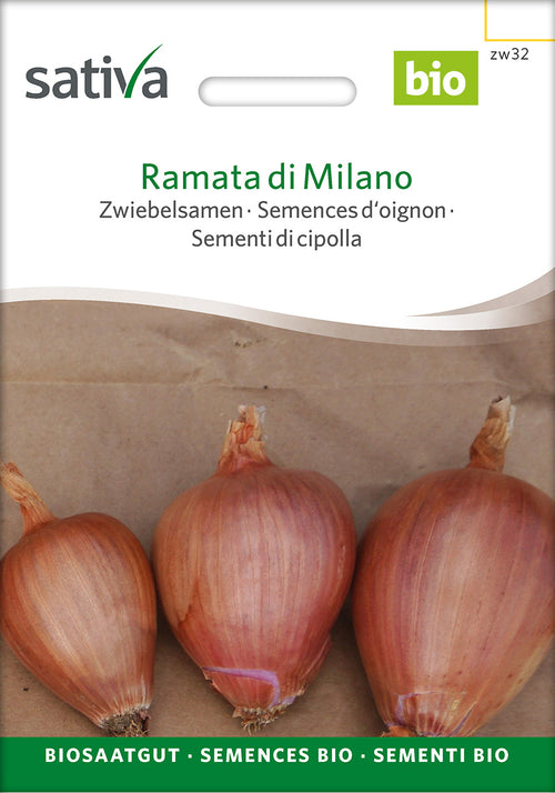 Sativa Zwiebelsamen Ramata di Milano