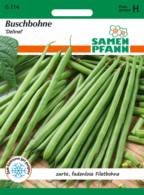 Samen Pfann Buschbohne Delinel