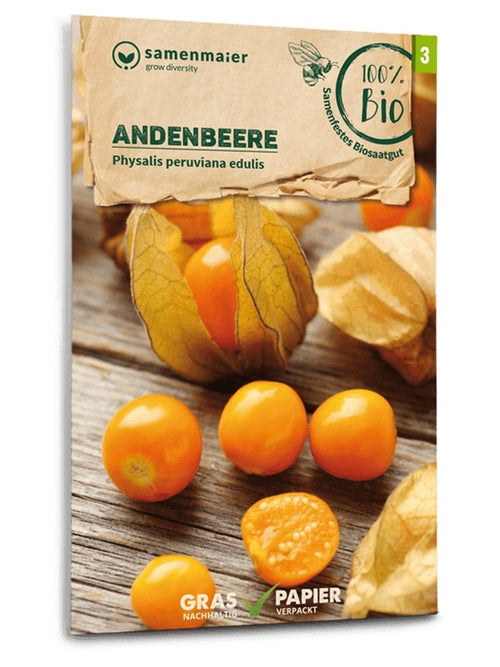 Samenpackung Andenbeere Physalis peruviana edulis Bio Saatgut, orangene Früchte auf Holz