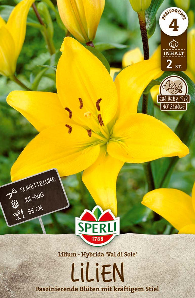 SPERLI Lilie Val di Sole