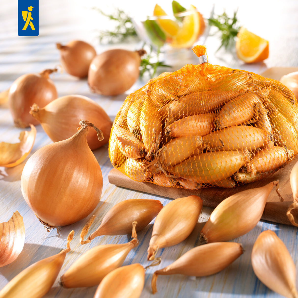 Kiepenkerl Steckzwiebel Birnenförmige 250 g