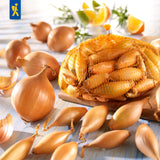 Kiepenkerl Steckzwiebel Birnenförmige 250 g