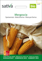 Sativa Speisemais Mergoscia