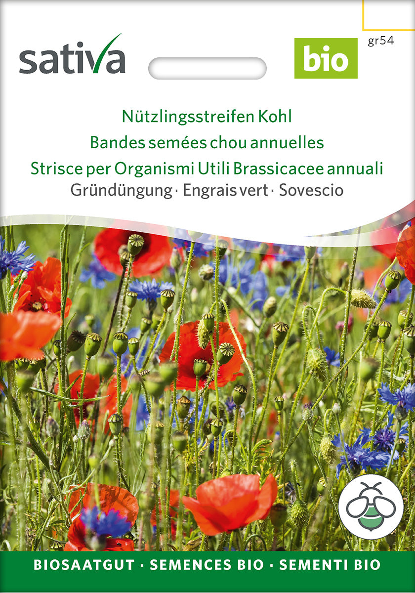 Sativa BIO Gründüngung Nützlingsstreifen Kohl