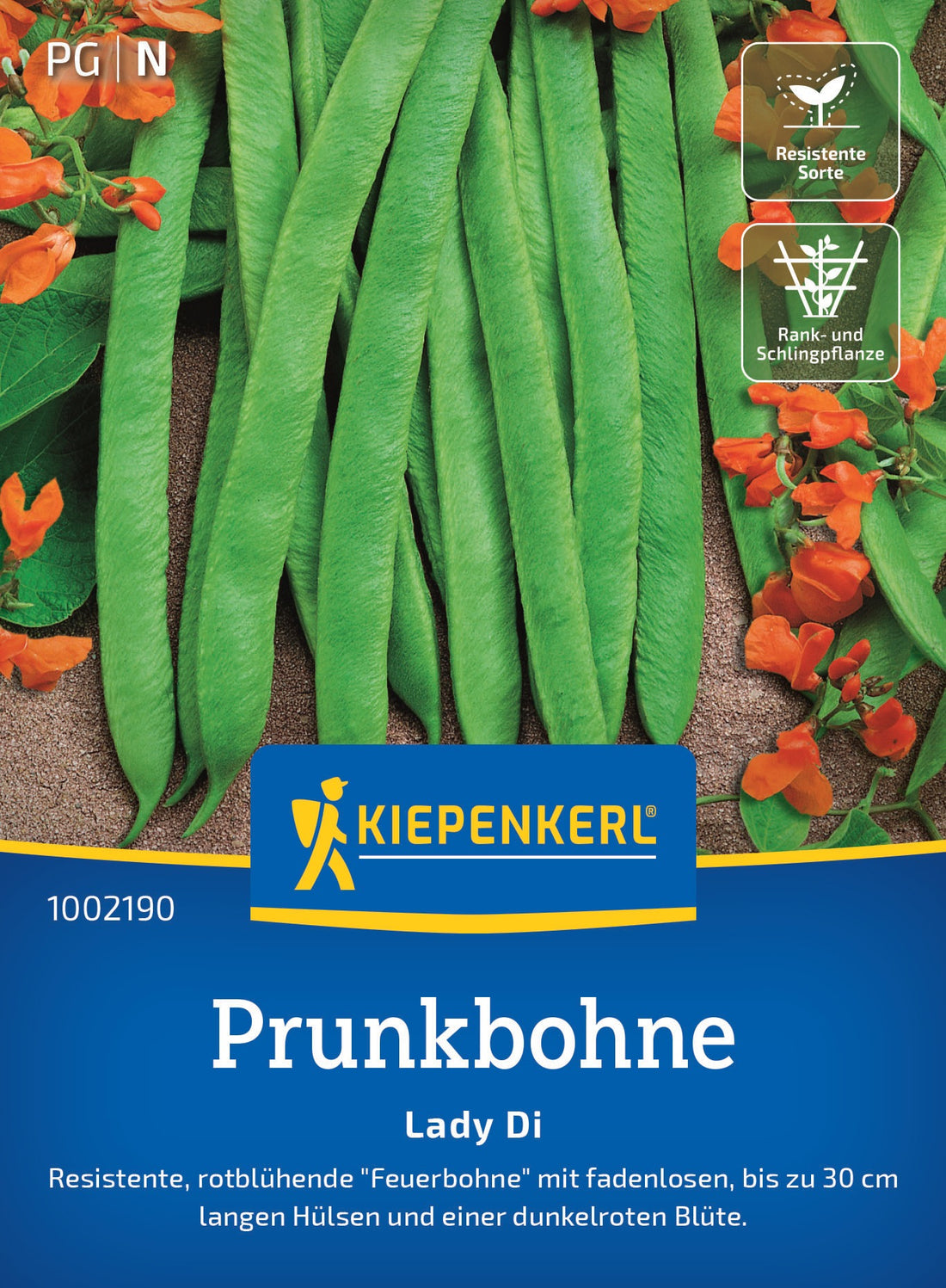 Kiepenkerl Prunkbohnen Lady Di