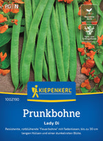 Kiepenkerl Prunkbohnen Lady Di