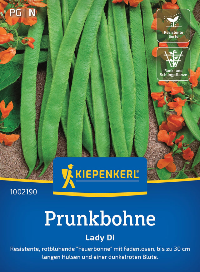 Kiepenkerl Prunkbohnen Lady Di