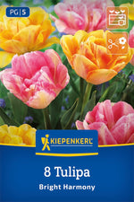 Tulpen Mix Bright Harmony