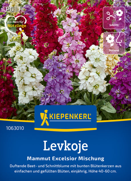 Kiepenkerl Levkojen Mammut Excelsior Mischung