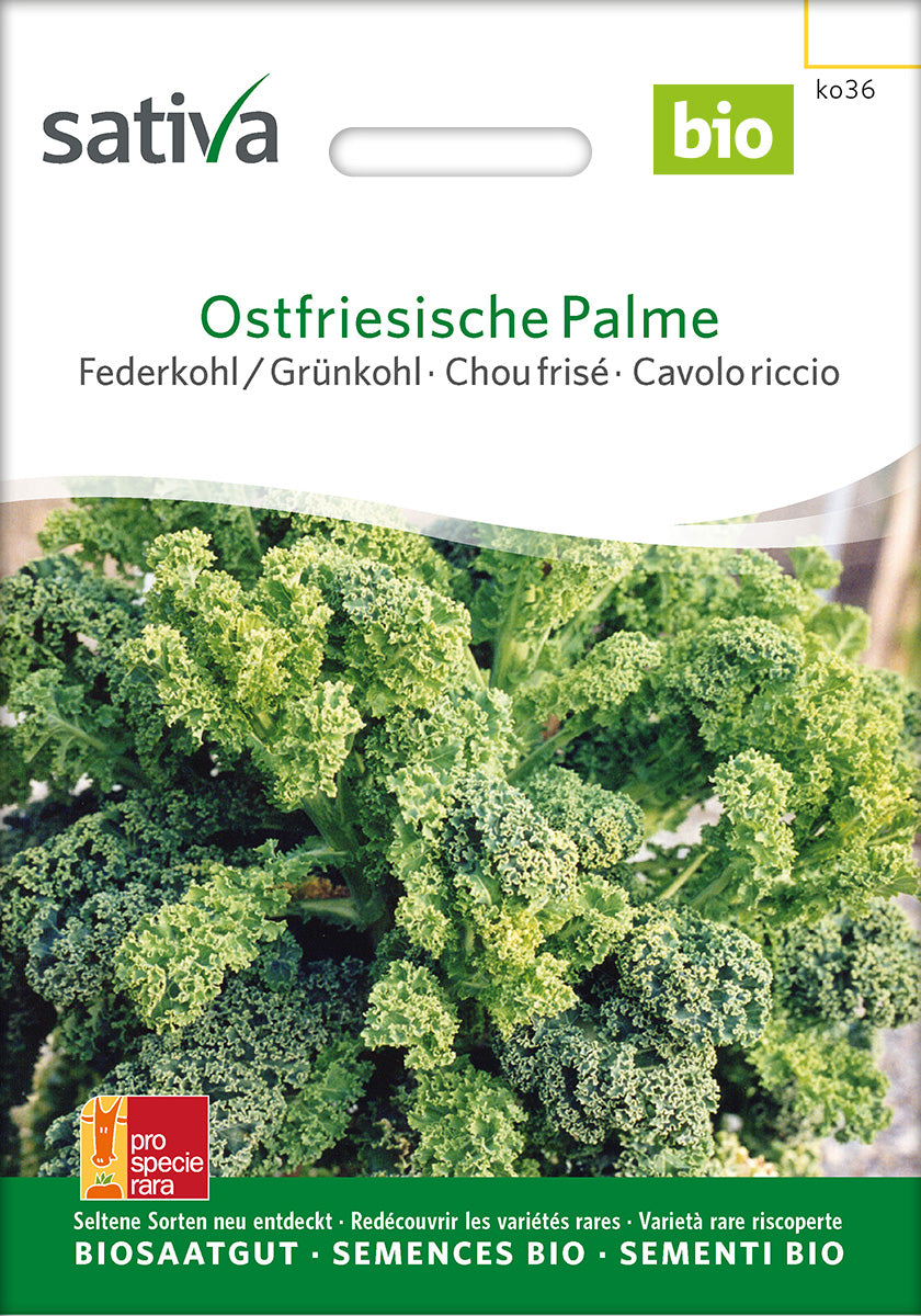 Sativa Federkohl / Grünkohl Ostfriesische Palme