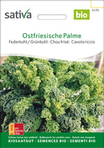 Sativa Federkohl / Grünkohl Ostfriesische Palme