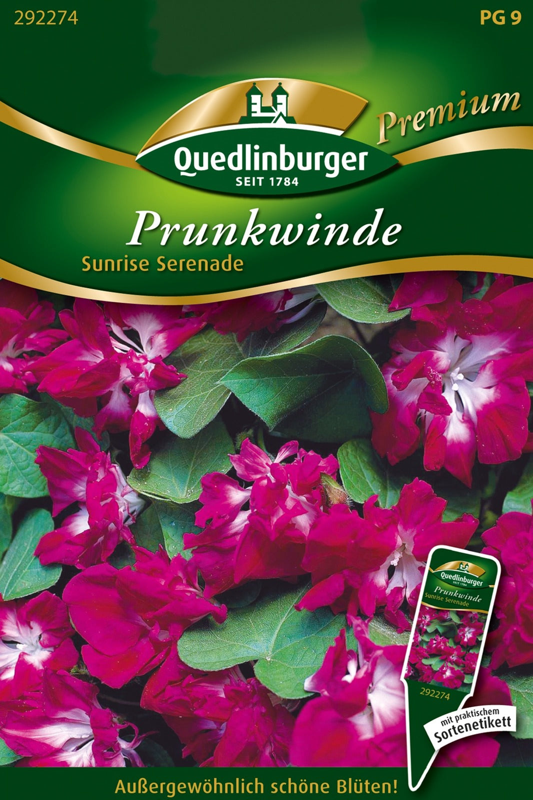 Quedlinburger Prunkwinde Sunrise Serenade