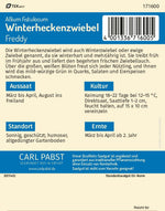 Pabst Keimkraft Winterheckenzwiebel Freddy