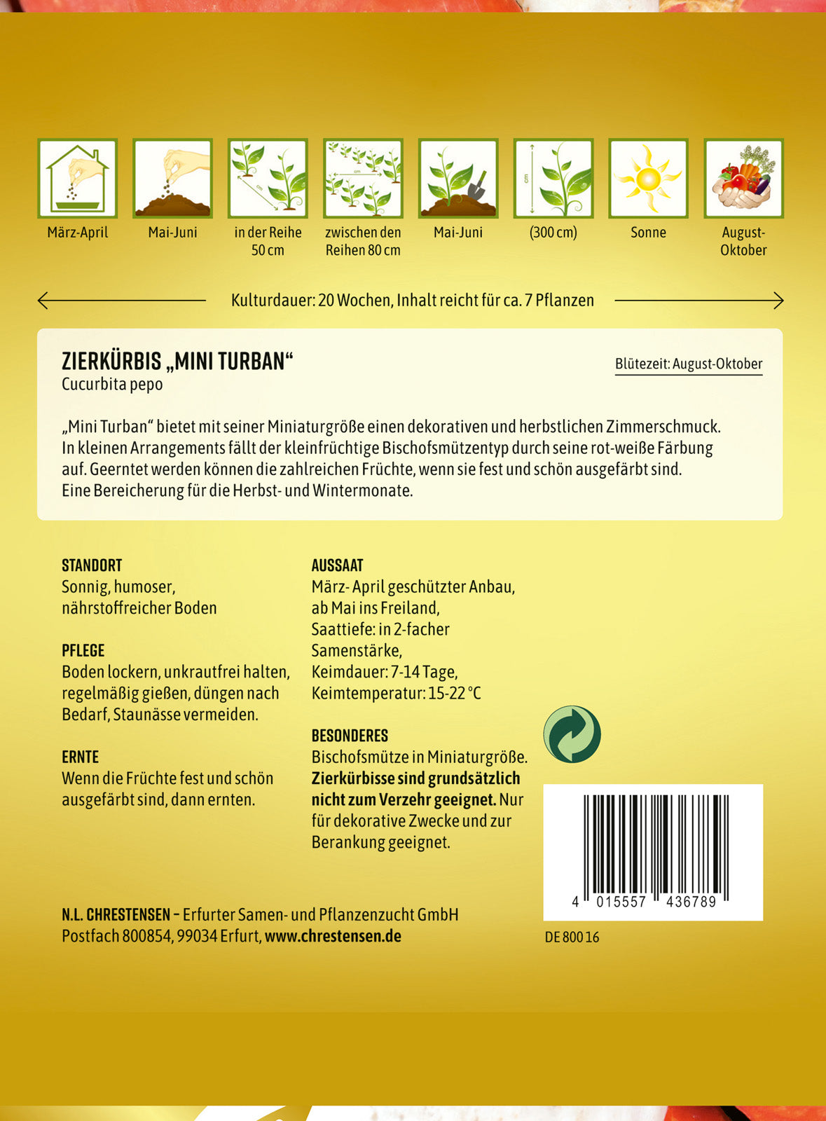 N.L. Chrestensen Zierkürbis Mini Turban