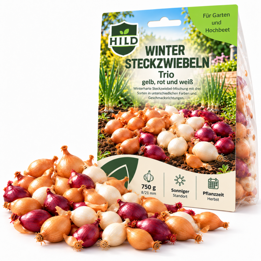 HILD Wintersteckzwiebeln Trio 750 Gramm