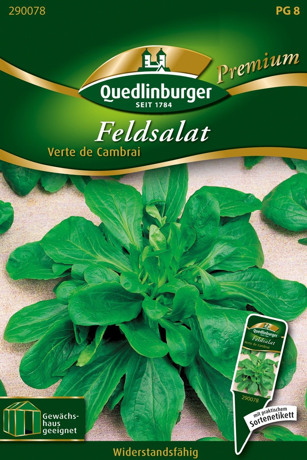 Quedlinburger Feldsalat Verte de Cambrai