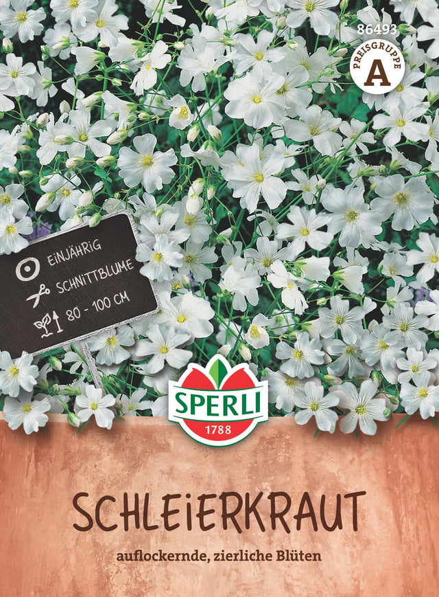 SPERLI Schleierkraut