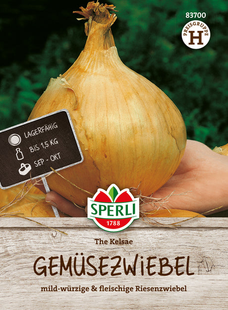 SPERLI Gemüsezwiebel The Kelsae