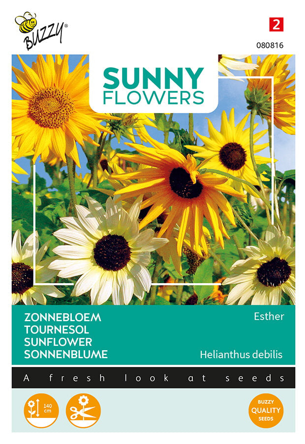 Buzzy Seeds Sonnenblume Esther