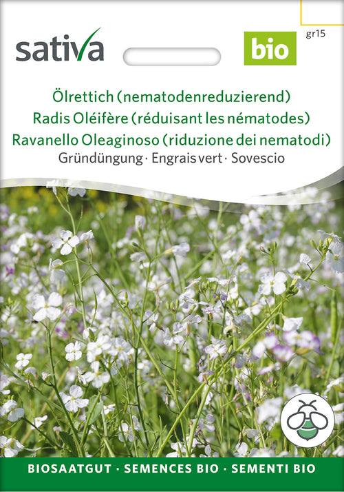 Sativa BIO Gründüngung Ölrettich (nematodenreduzierend)