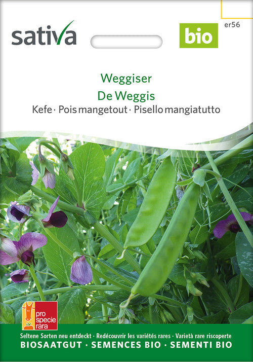 Sativa Kefe Weggiser
