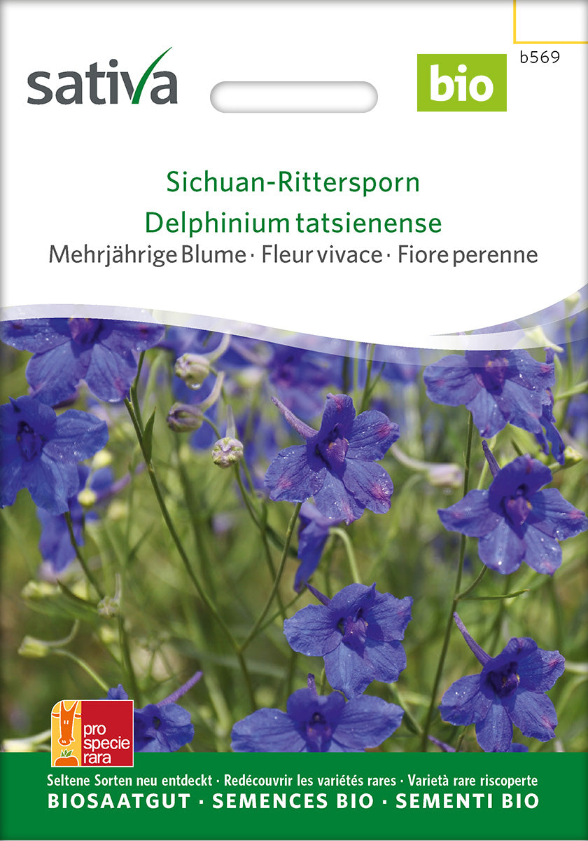 Sativa Sichuan-Rittersporn