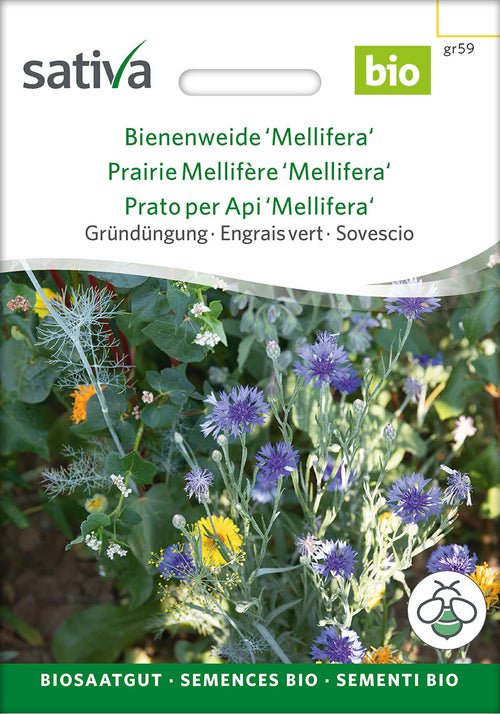 Sativa BIO Gründüngung Bienenweide 'Mellifera'