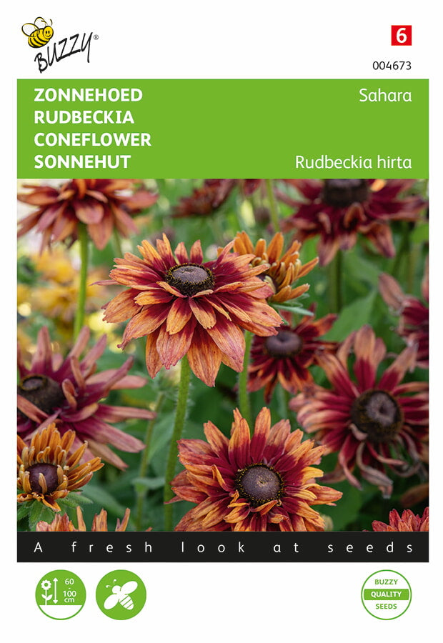 Buzzy Seeds Sonnehut Sahara