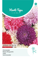 Horti Tops Sommeraster Königin Der Hallen Mischung