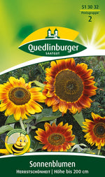 Quedlinburger Sonnenblume Herbstschönheit