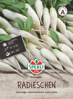 SPERLI Radieschen Eiszapfen
