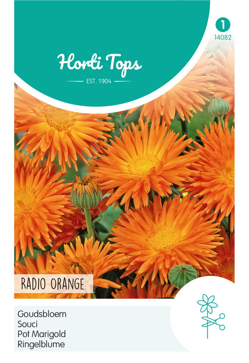 Horti Tops Ringelblume Orange Strahlen