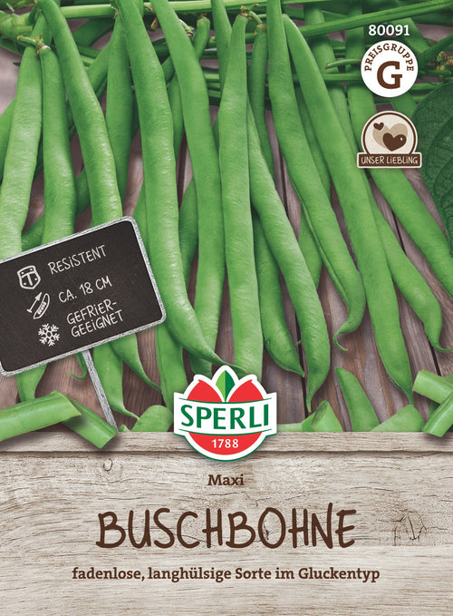 SPERLI Buschbohne Maxi