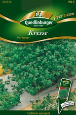 Quedlinburger Gartenkresse Polycress