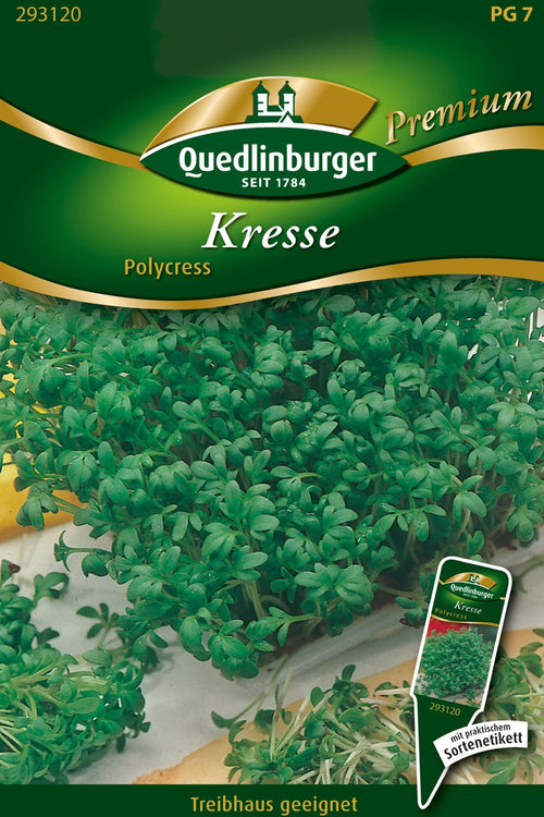 Quedlinburger Gartenkresse Polycress