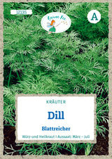 Grüne Fee Dill Einjährig