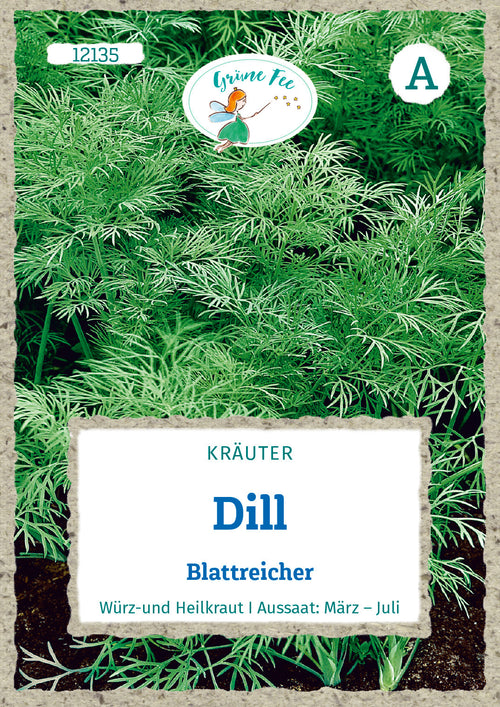 Grüne Fee Dill Einjährig