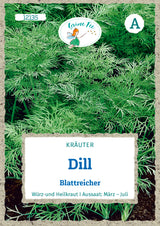 Grüne Fee Dill Einjährig