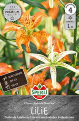 SPERLI Lilie Must See