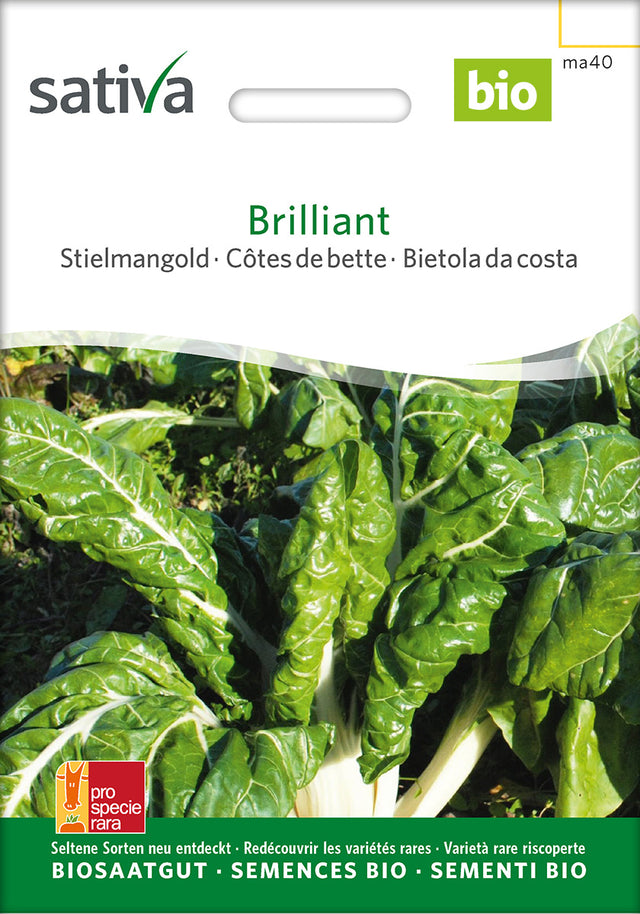 Sativa Stielmangold Brilliant