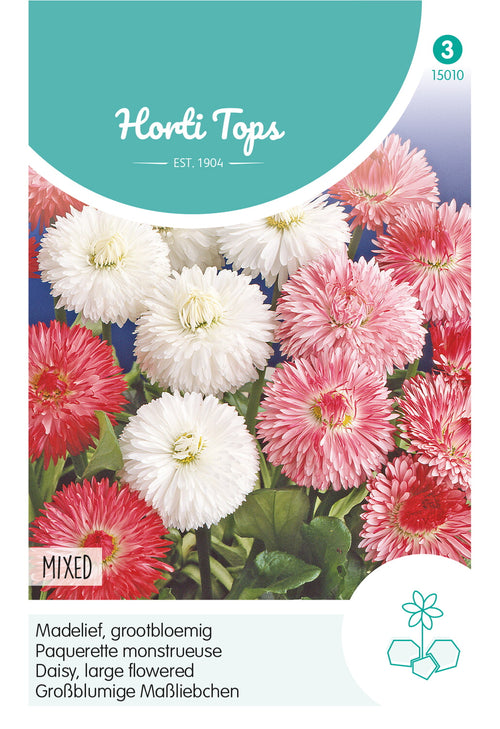 Horti Tops Gänseblümchen Perennis Monstrosa Gefüllte Mischung
