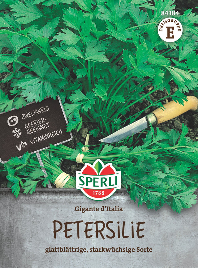 SPERLI Petersilie Gigante d'Italia