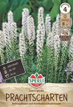 SPERLI Blumenzwiebeln Prachtscharte weiß