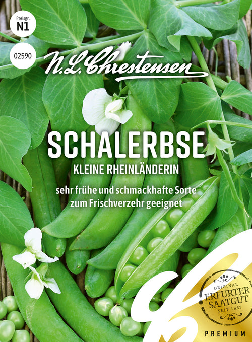 N.L. Chrestensen Schalerbse Kleine Rheinländerin