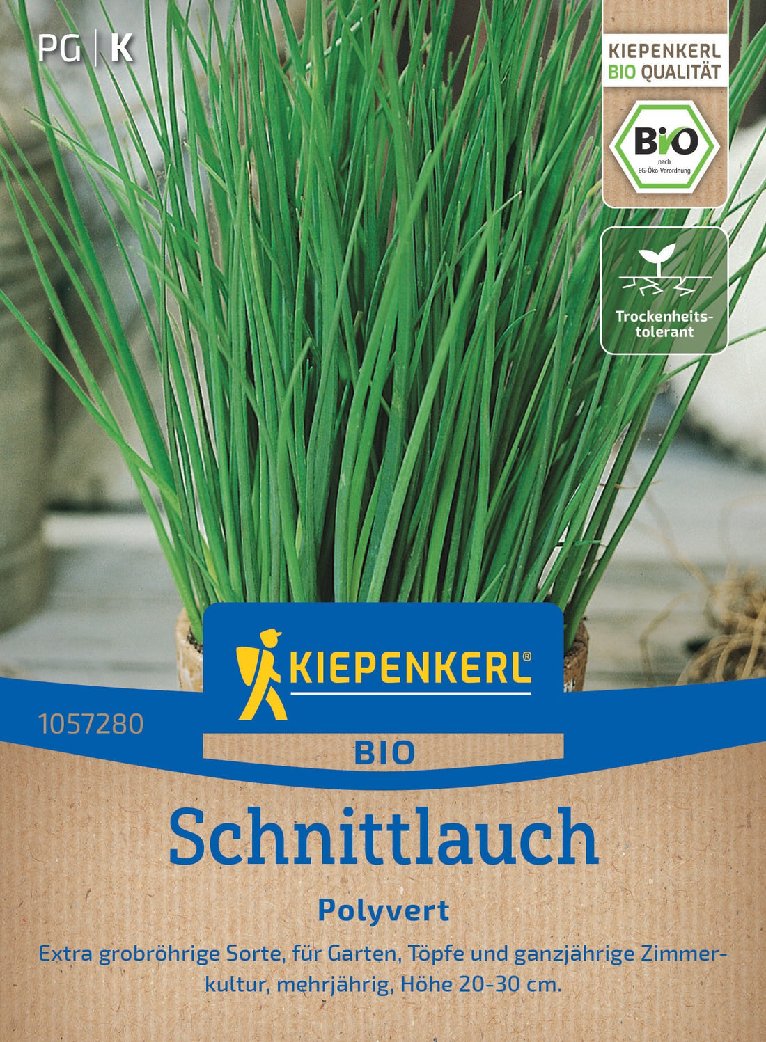 Kiepenkerl Schnittlauch Staro