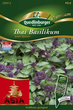 Quedlinburger Thai Basilikum Siam Queen