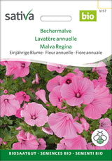 Sativa Bechermalve