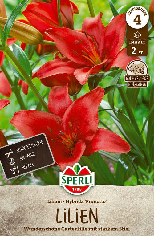 SPERLI Lilie Prunotto