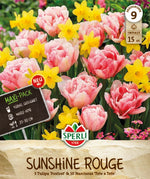 Maxi Sunshine Rouge Mix