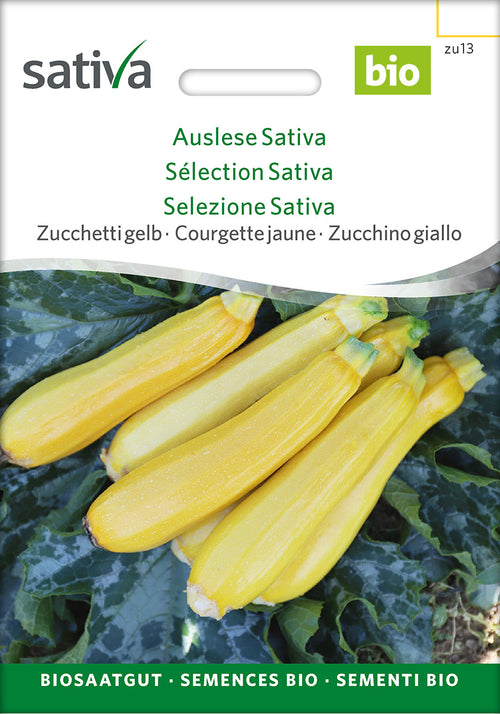 Sativa Zucchetti gelb Auslese Sativa